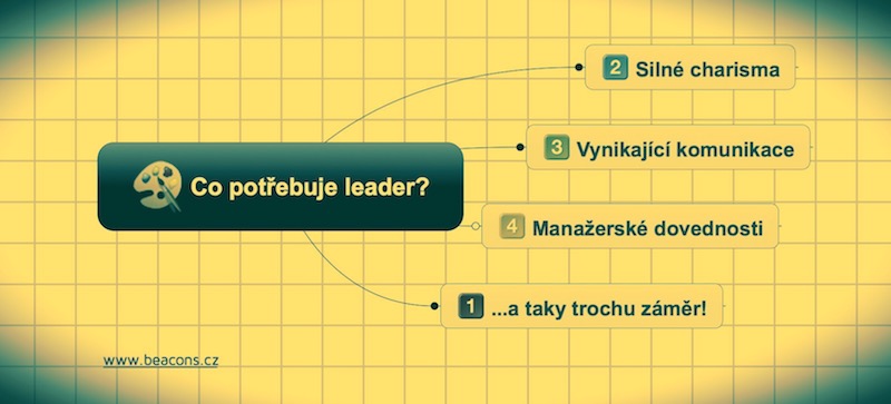 Co potřebuje leader?